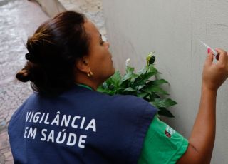 Casos de dengue em 2024 passam de 6,4 milhões; mortes somam 5,9 mil