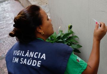 Casos de dengue em 2024 passam de 6,4 milhões; mortes somam 5,9 mil